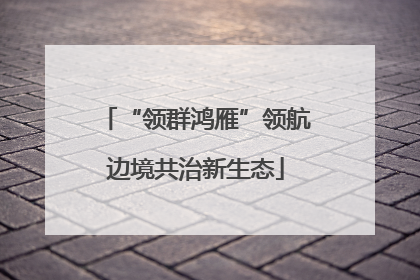 “领群鸿雁”领航边境共治新生态