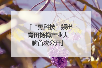 “黑科技”频出 青田杨梅产业大脑首次公开