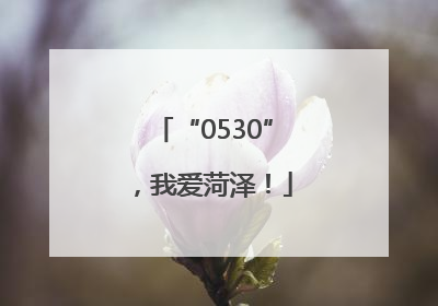 “0530”，我爱菏泽！
