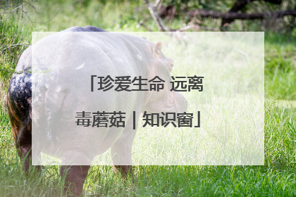 珍爱生命 远离毒蘑菇｜知识窗