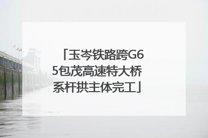 玉岑铁路跨G65包茂高速特大桥系杆拱主体完工