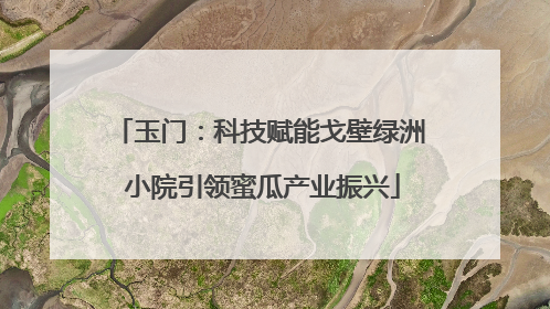 玉门：科技赋能戈壁绿洲 小院引领蜜瓜产业振兴