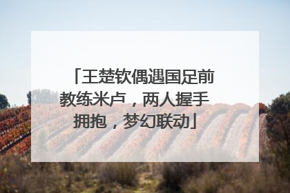 王楚钦偶遇国足前教练米卢，两人握手拥抱，梦幻联动