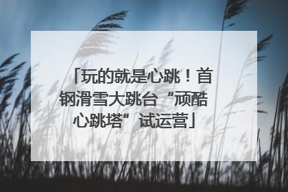 玩的就是心跳！首钢滑雪大跳台“顽酷心跳塔”试运营