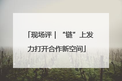 现场评｜“链”上发力打开合作新空间