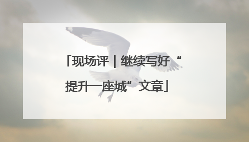 现场评｜继续写好“提升一座城”文章