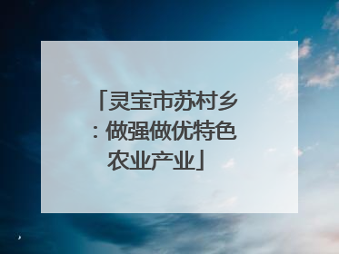 灵宝市苏村乡：做强做优特色农业产业