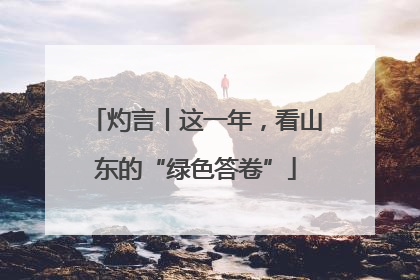 灼言丨这一年，看山东的“绿色答卷”
