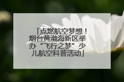 点燃航空梦想！烟台黄渤海新区举办“飞行之梦”少儿航空科普活动