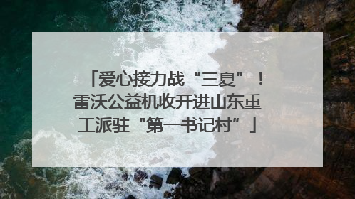 爱心接力战“三夏”！雷沃公益机收开进山东重工派驻“第一书记村”