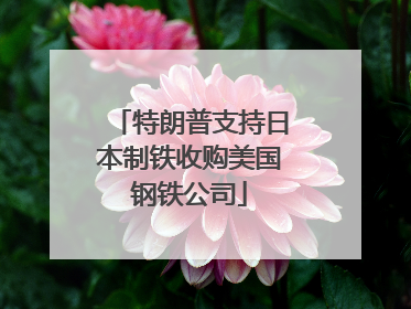 特朗普支持日本制铁收购美国钢铁公司