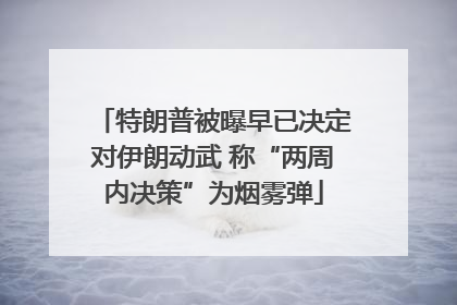 特朗普被曝早已决定对伊朗动武 称“两周内决策”为烟雾弹