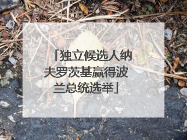 独立候选人纳夫罗茨基赢得波兰总统选举