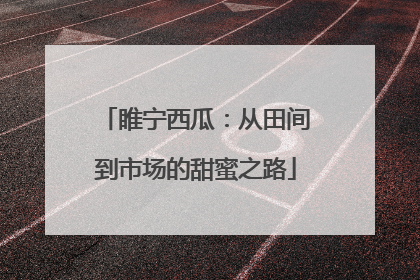 睢宁西瓜：从田间到市场的甜蜜之路