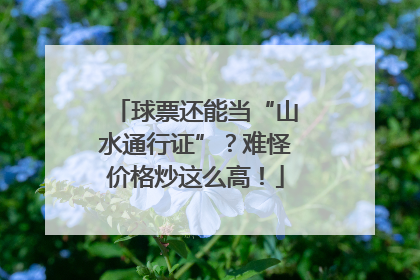 球票还能当“山水通行证”？难怪价格炒这么高！