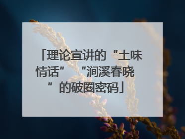 理论宣讲的“土味情话” “涧溪春晓”的破圈密码