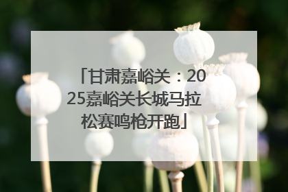 甘肃嘉峪关：2025嘉峪关长城马拉松赛鸣枪开跑