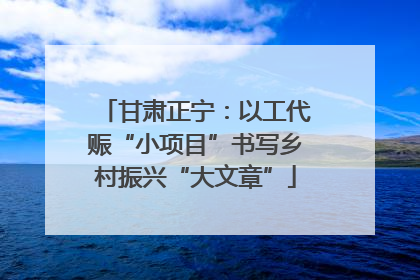 甘肃正宁：以工代赈“小项目”书写乡村振兴“大文章”