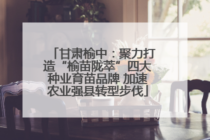甘肃榆中：聚力打造“榆苗陇萃”四大种业育苗品牌 加速农业强县转型步伐