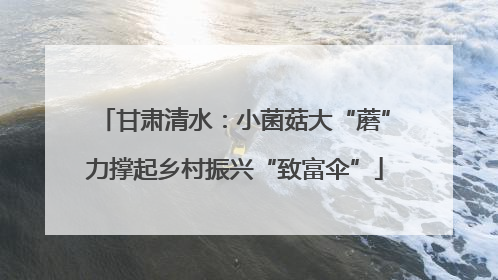 甘肃清水：小菌菇大“蘑”力撑起乡村振兴“致富伞”