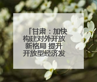 甘肃：加快构建对外开放新格局 提升开放型经济发展水平