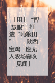 用上“智慧眼” 打造“吨粮田”——陕西宝鸡一座无人农场夏收见闻