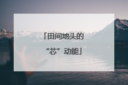 田间地头的“芯”动能