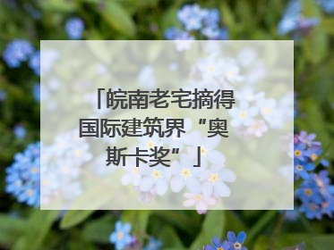 皖南老宅摘得国际建筑界“奥斯卡奖”