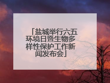 盐城举行六五环境日暨生物多样性保护工作新闻发布会