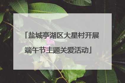 盐城亭湖区大星村开展端午节主题关爱活动