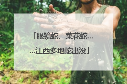 眼镜蛇、菜花蛇……江西多地蛇出没