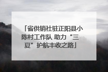 省供销社驻正阳县小陈村工作队 助力“三夏”护航丰收之路