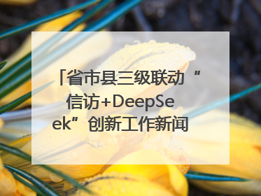 省市县三级联动“信访+DeepSeek”创新工作新闻发布会举行