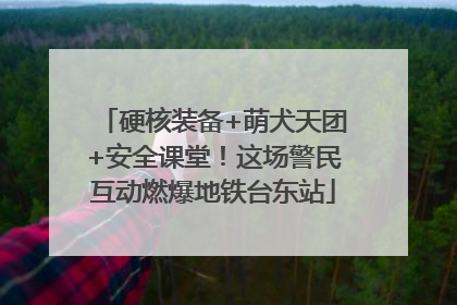 硬核装备+萌犬天团+安全课堂！这场警民互动燃爆地铁台东站