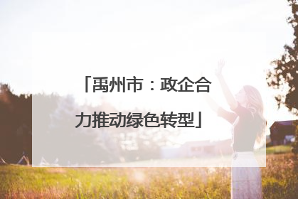 禹州市：政企合力推动绿色转型
