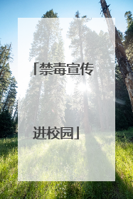 禁毒宣传进校园