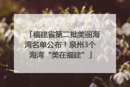 福建省第二批美丽海湾名单公布！泉州3个海湾“美在福建”