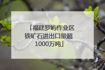 福建罗屿作业区铁矿石进出口量超1000万吨