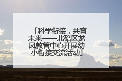 科学衔接，共育未来——北碚区龙凤教管中心开展幼小衔接交流活动