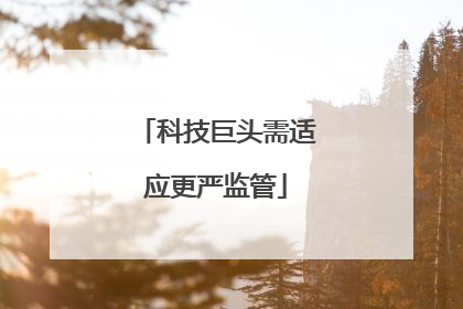 科技巨头需适应更严监管