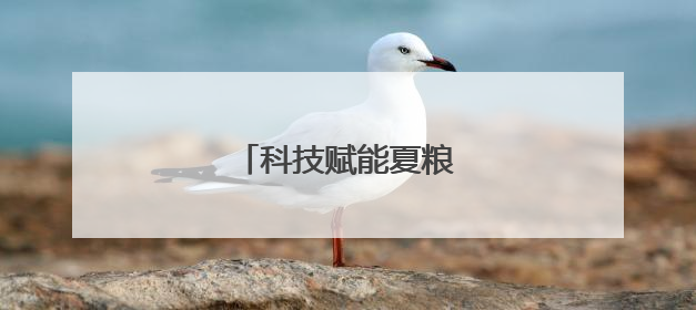 科技赋能夏粮收购提质增效