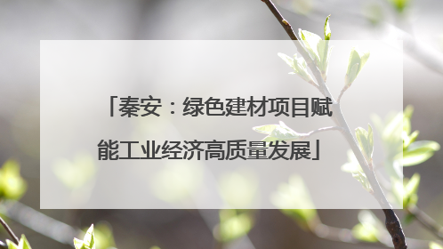 秦安：绿色建材项目赋能工业经济高质量发展