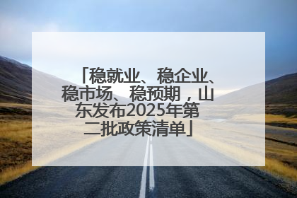 稳就业、稳企业、稳市场、稳预期，山东发布2025年第二批政策清单
