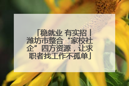 稳就业 有实招丨潍坊市整合“家校社企”四方资源，让求职者找工作不孤单