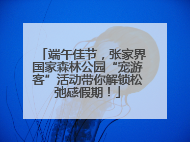 端午佳节，张家界国家森林公园“宠游客”活动带你解锁松弛感假期！