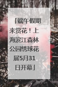 端午假期来赏花！上海滨江森林公园绣球花展5月31日开幕