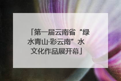 第一届云南省“绿水青山·彩云南”水文化作品展开幕