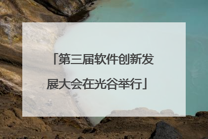 第三届软件创新发展大会在光谷举行