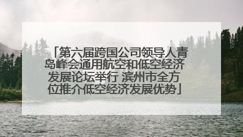 第六届跨国公司领导人青岛峰会通用航空和低空经济发展论坛举行 滨州市全方位推介低空经济发展优势