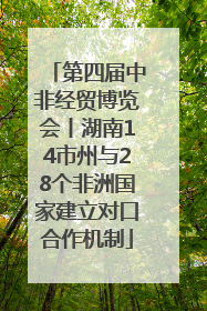 第四届中非经贸博览会丨湖南14市州与28个非洲国家建立对口合作机制